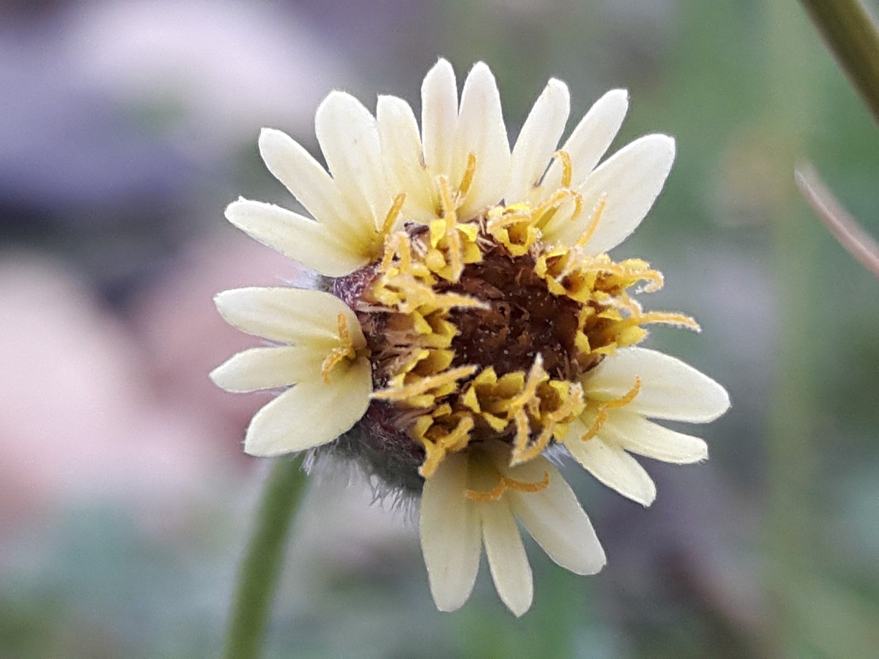 烏市地鐵招工最新動(dòng)態(tài)，城市軌道交通建設(shè)中的機(jī)遇與挑戰(zhàn)并存