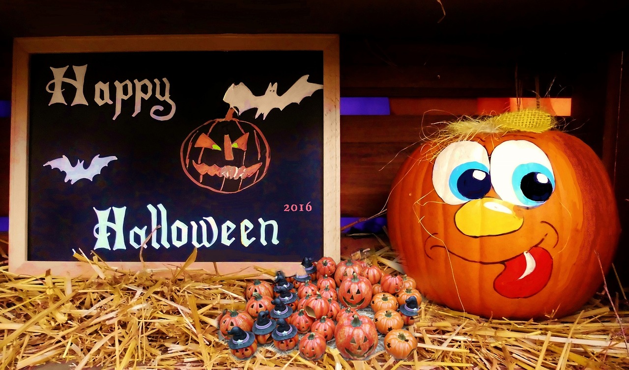 龍潤(rùn)灣美最新動(dòng)態(tài)揭秘，揭開這片美景的神秘面紗