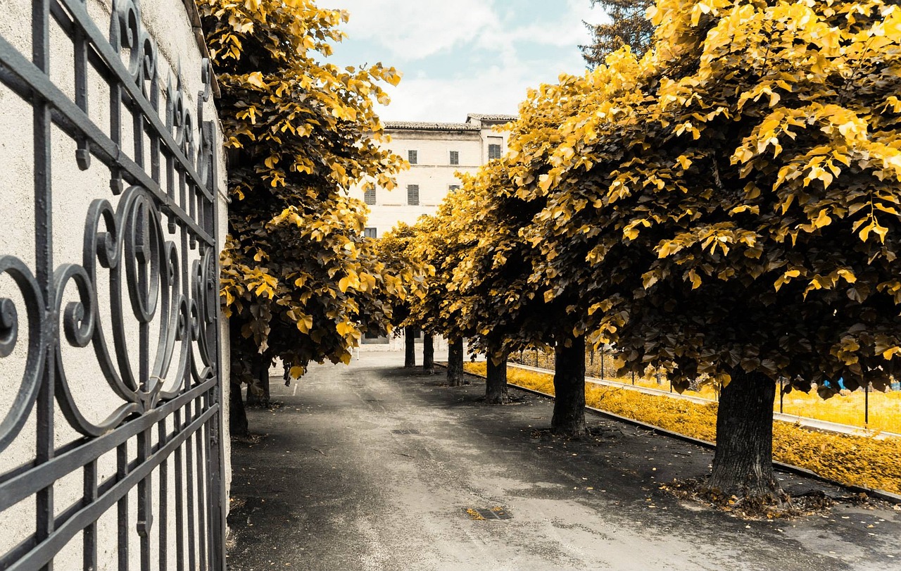 葉榭大型社區(qū)打造現(xiàn)代化新城，宜居宜業(yè)最新進(jìn)展消息