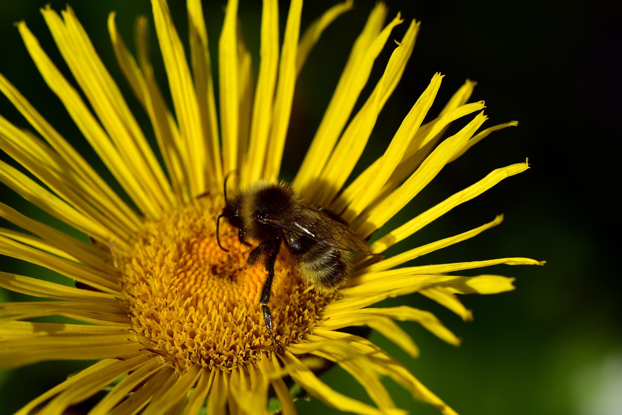 太原城市改造最新動態(tài)，煥新顏，發(fā)展提速
