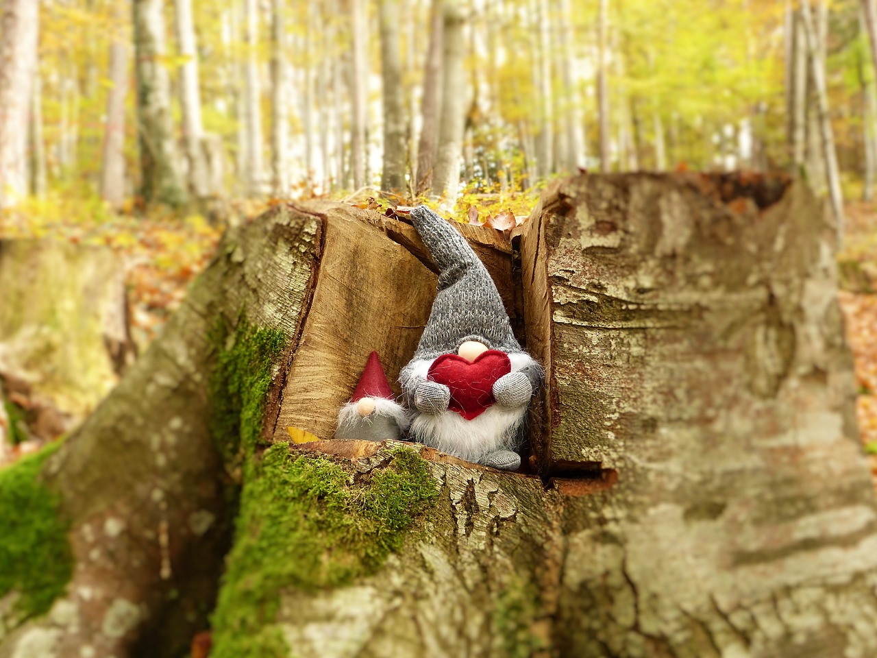 武警王信的英勇事跡與時代精神，最新消息揭秘