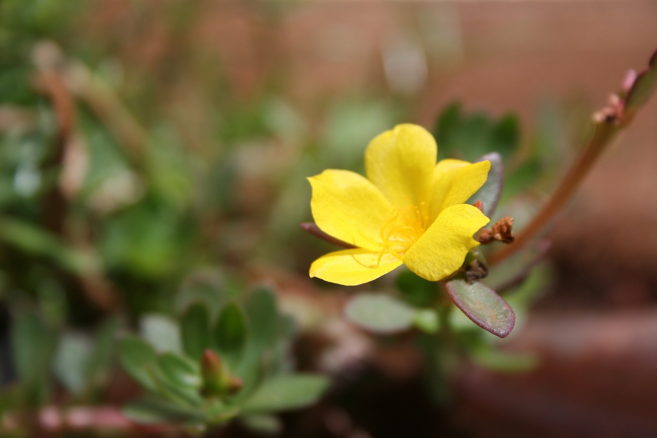 威海泊于水庫(kù)最新動(dòng)態(tài)，進(jìn)展、影響與展望