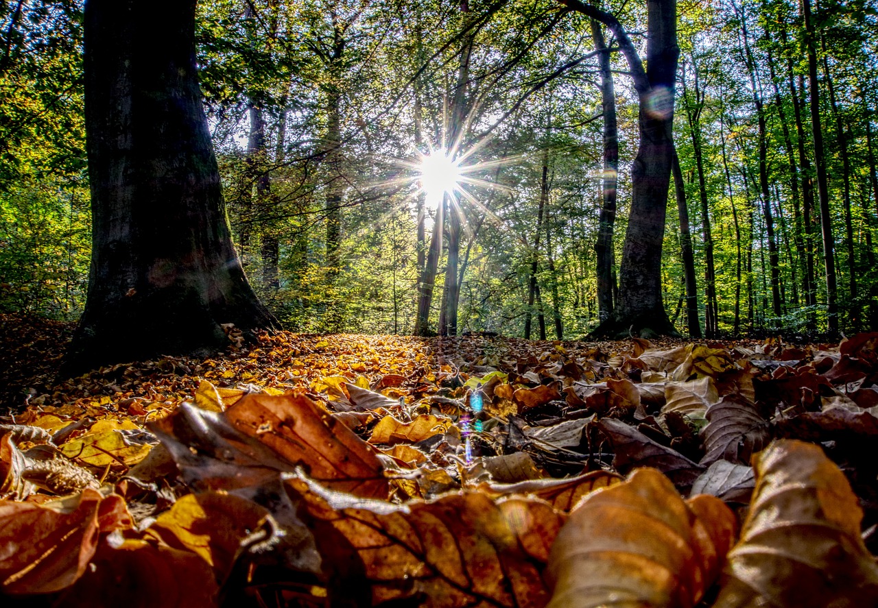 古劍奇譚三最新動(dòng)態(tài)揭秘，新內(nèi)容、玩法與體驗(yàn)全解析