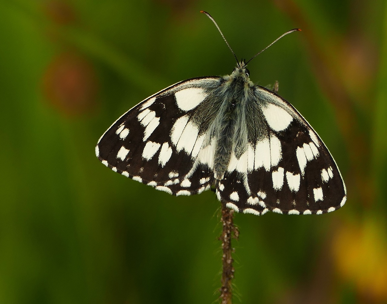 容縣二手房最新信息概覽，最新房源、價(jià)格及交易動(dòng)態(tài)一網(wǎng)打盡！
