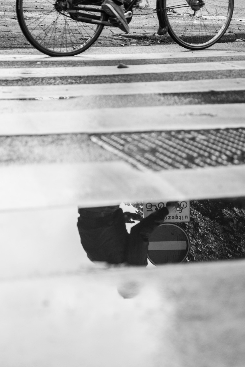 膠南陽光一號最新動態(tài)，城市發(fā)展的璀璨明珠持續(xù)更新中