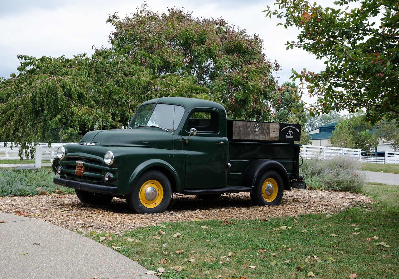 豪門又一城最新動(dòng)態(tài)，揭開未來繁榮序幕的揭秘消息