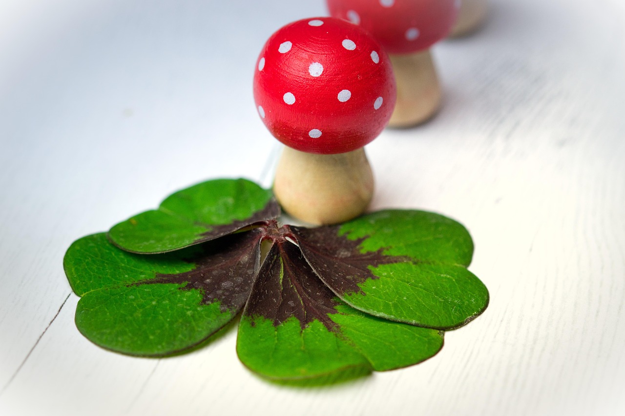 華清御園最新動(dòng)態(tài)，展現(xiàn)獨(dú)特魅力與未來發(fā)展藍(lán)圖揭秘