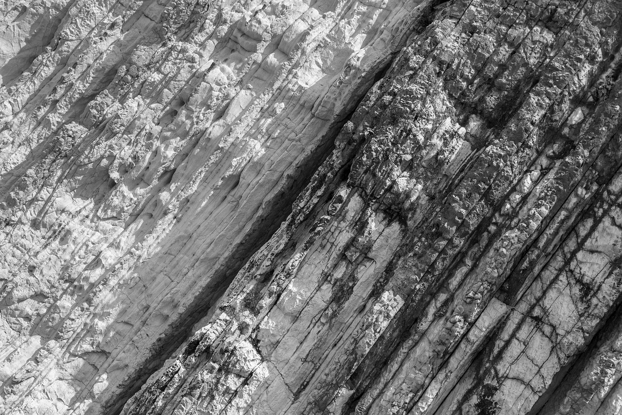 寡言難癮 第14頁(yè)