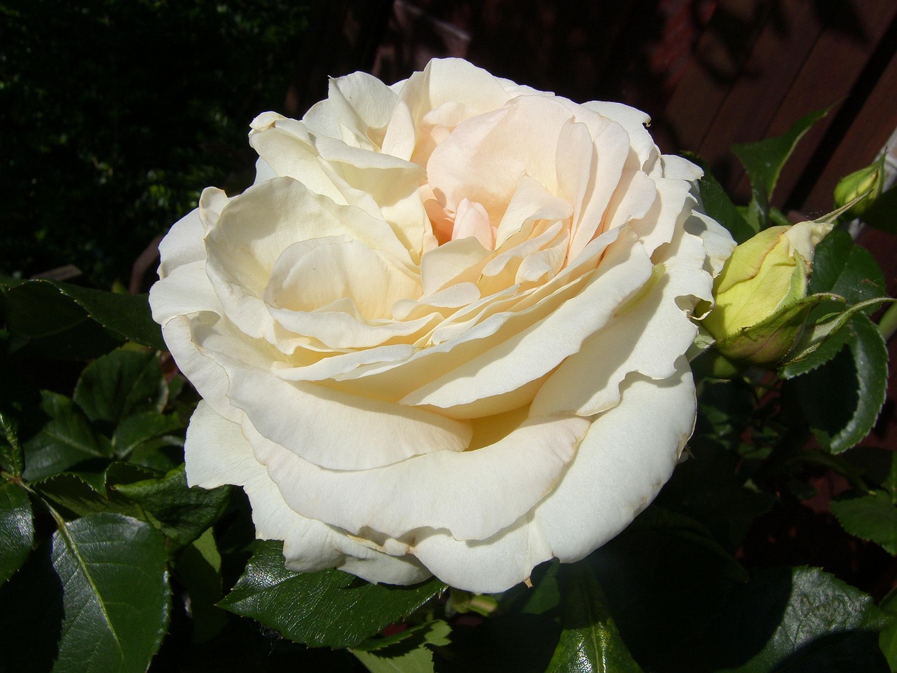 海口美麗華居最新動(dòng)態(tài)，繁華都市中的理想居所更新消息