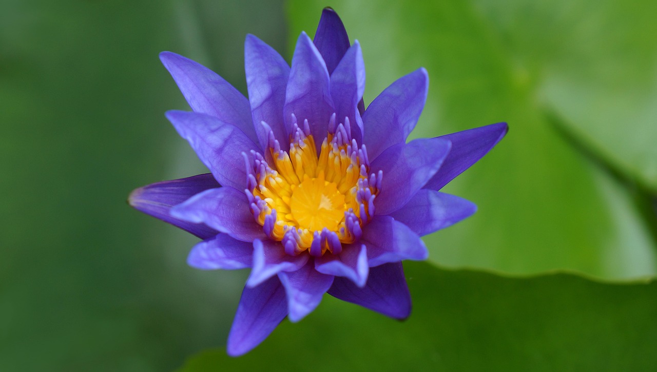 雙陽區(qū)火車站邁向現(xiàn)代化，提升服務(wù)質(zhì)量，最新動態(tài)報告