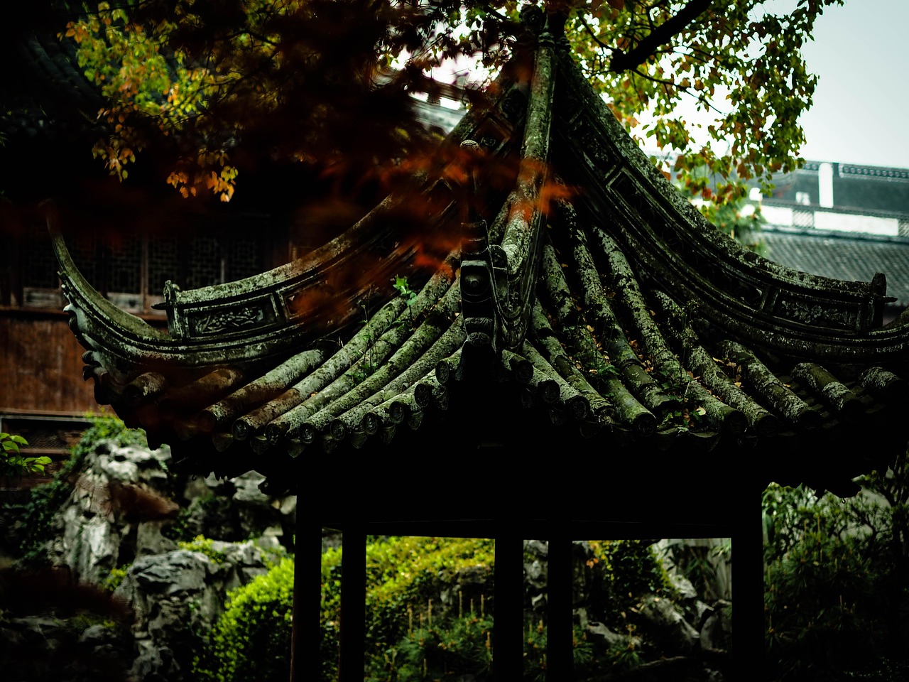 中國女排隊蓄勢待發(fā)，展現(xiàn)新篇章，最新消息與動態(tài)速遞