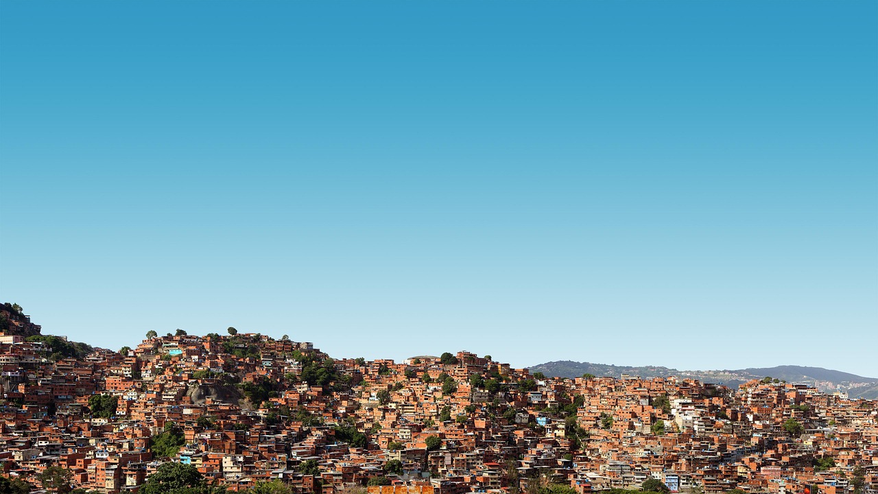 四川今日西紅柿行情概覽與最新動態(tài)分析