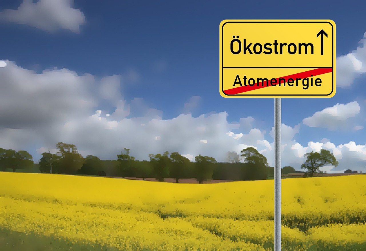 舟遙客 第15頁(yè)