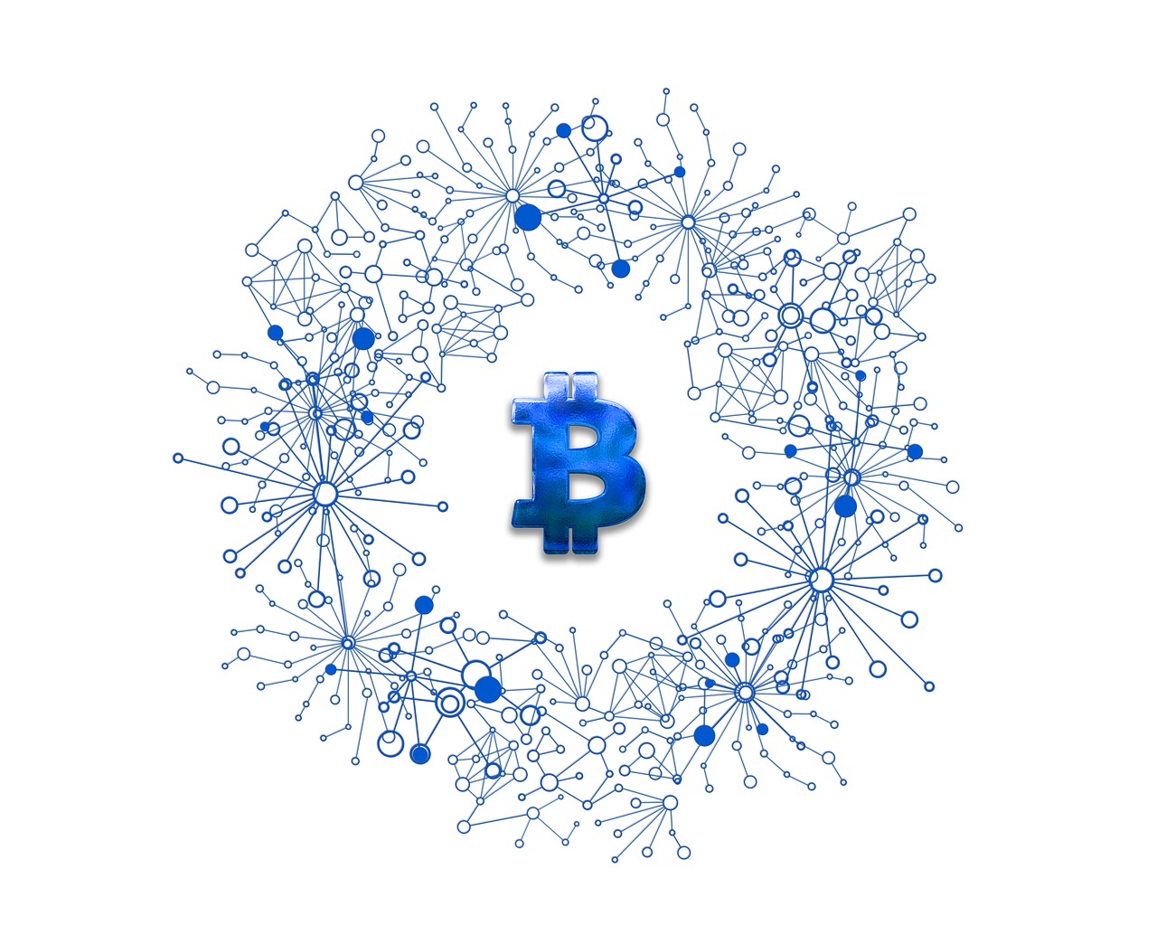 美人魚幣最新動(dòng)態(tài)，探索數(shù)字貨幣新領(lǐng)域