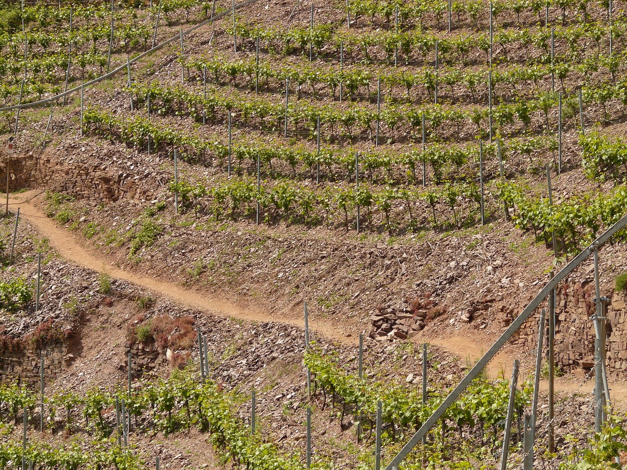 紅河谷論壇最新地址，全新探索與交流平臺(tái)的開啟