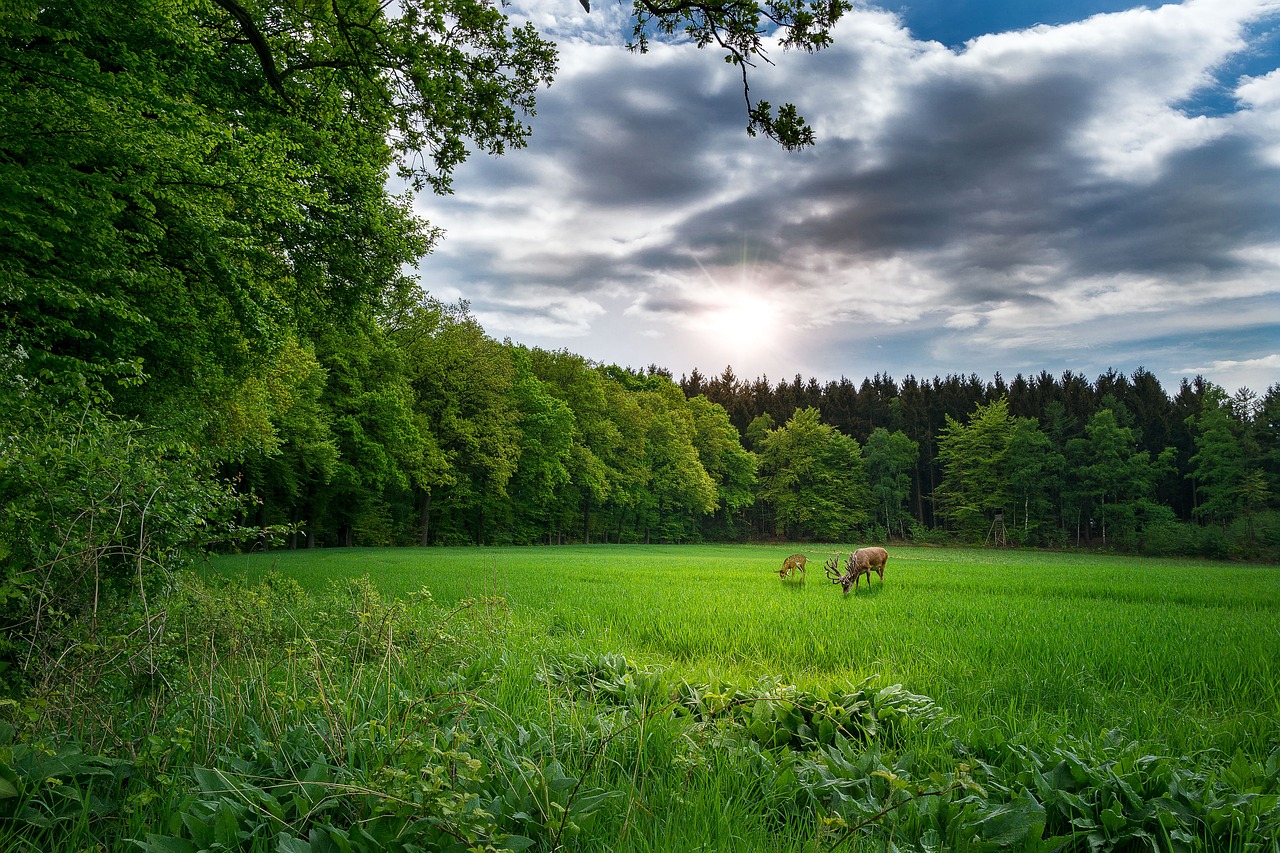 最新快手版本探索與解析，版本更新動態(tài)及功能解析