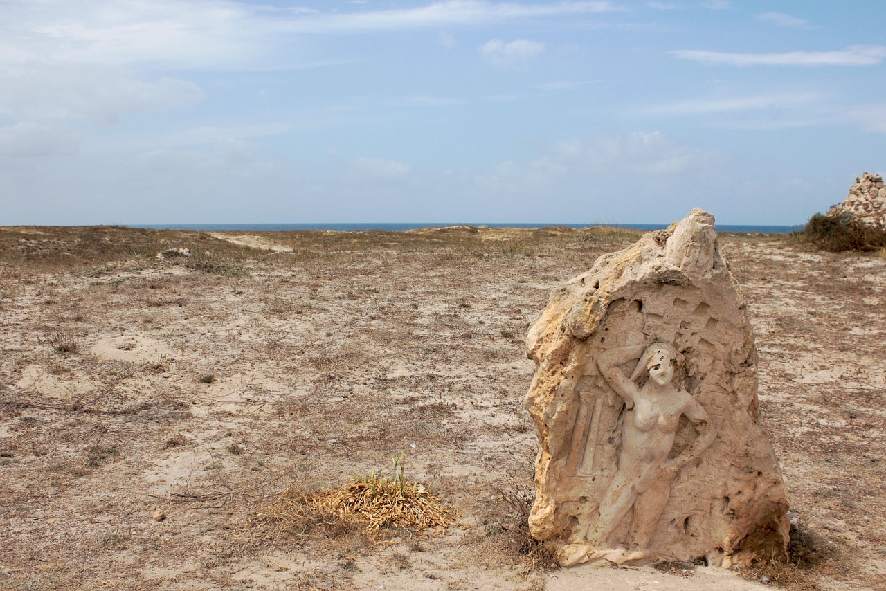 濱海旅游區(qū)新動態(tài)，世界級旅游目的地打造最新消息
