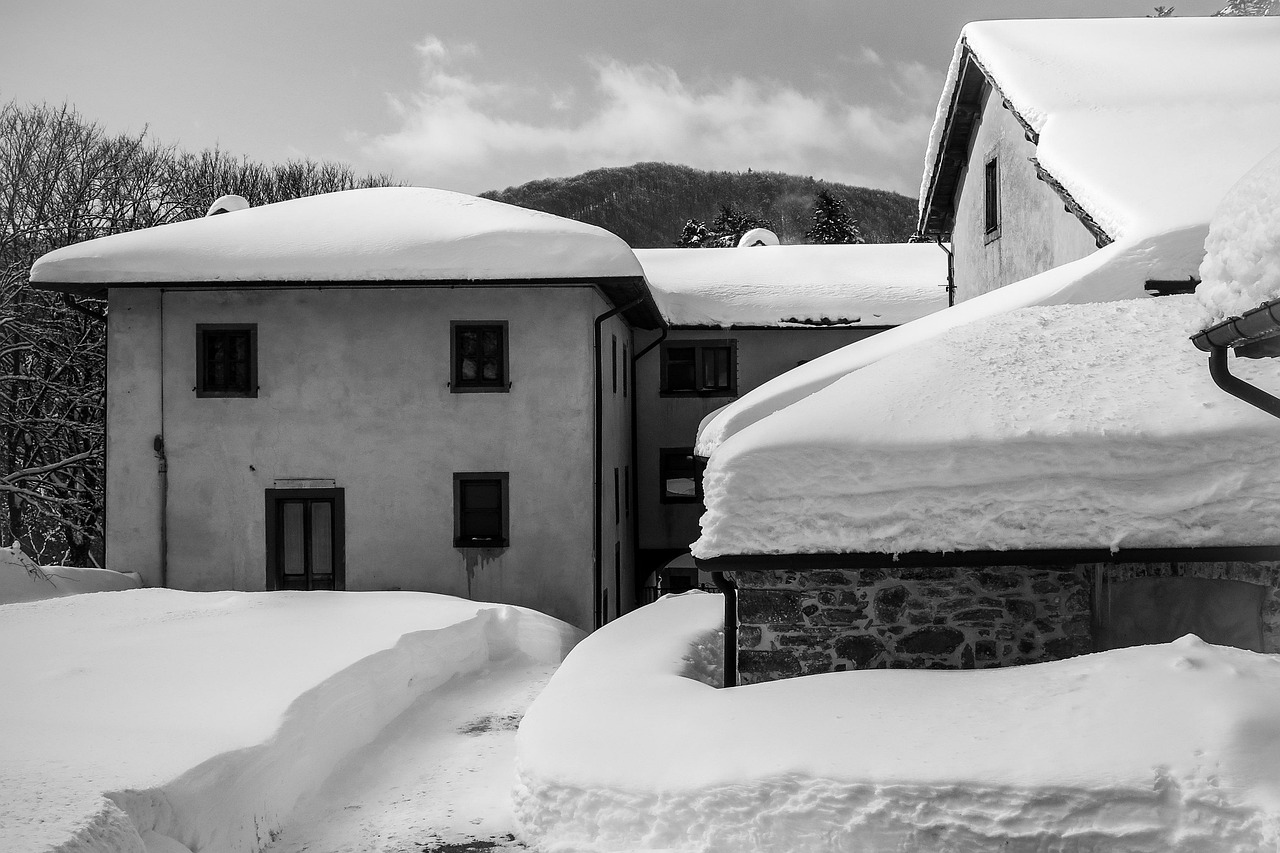 三林拆違動態(tài)更新，最新消息匯總