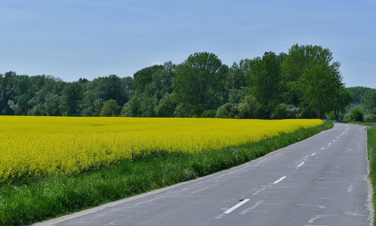 蕪黃旌德段建設(shè)進(jìn)展及未來(lái)展望，最新消息揭秘