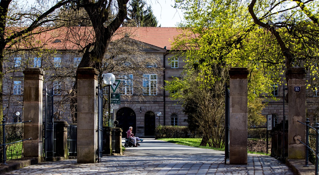 洛陽(yáng)王城大道最新動(dòng)態(tài)，城市發(fā)展的脈搏與未來(lái)展望