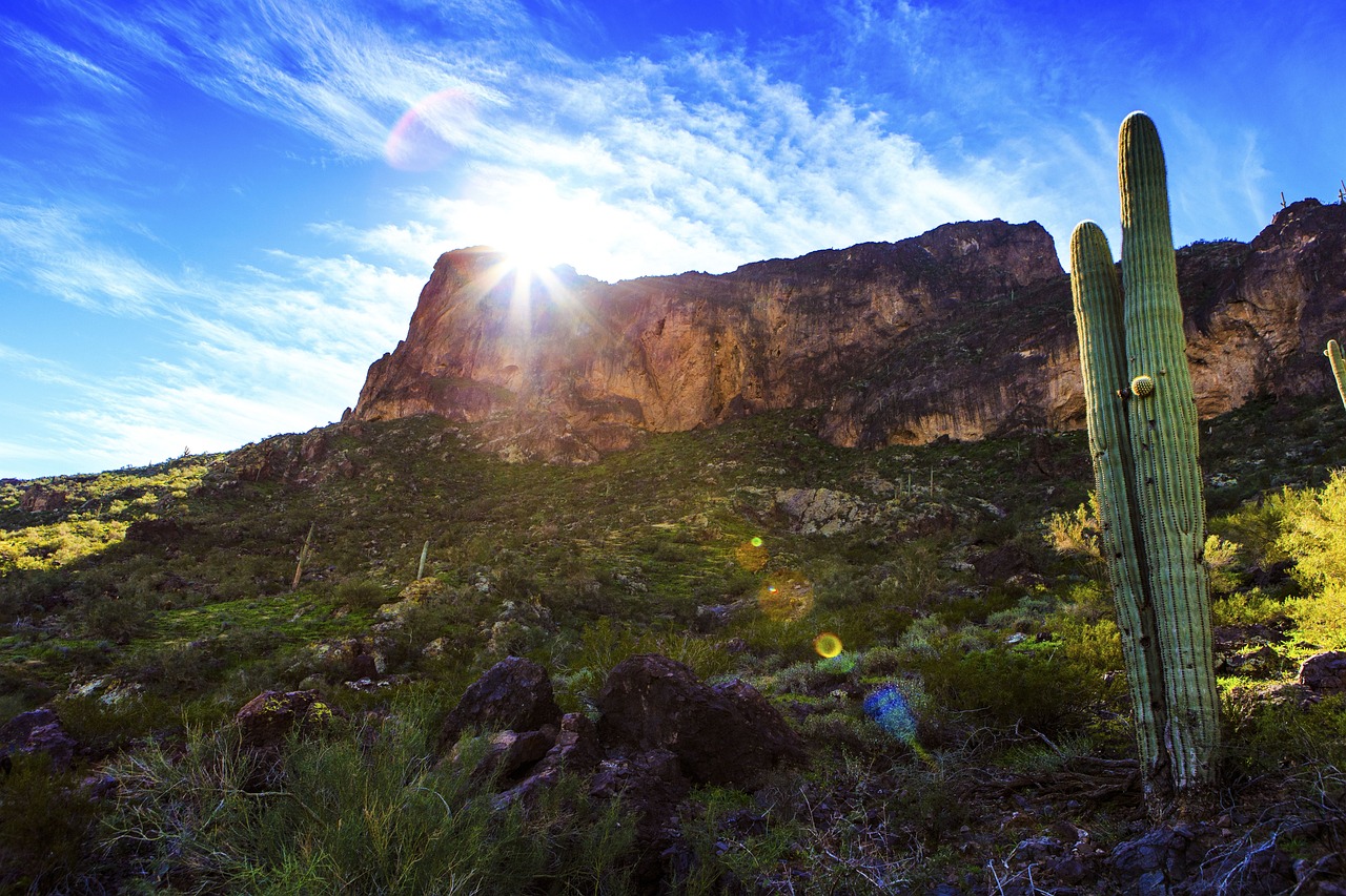 蘭州富士康最新動態(tài)，發(fā)展、影響與未來展望全面解讀