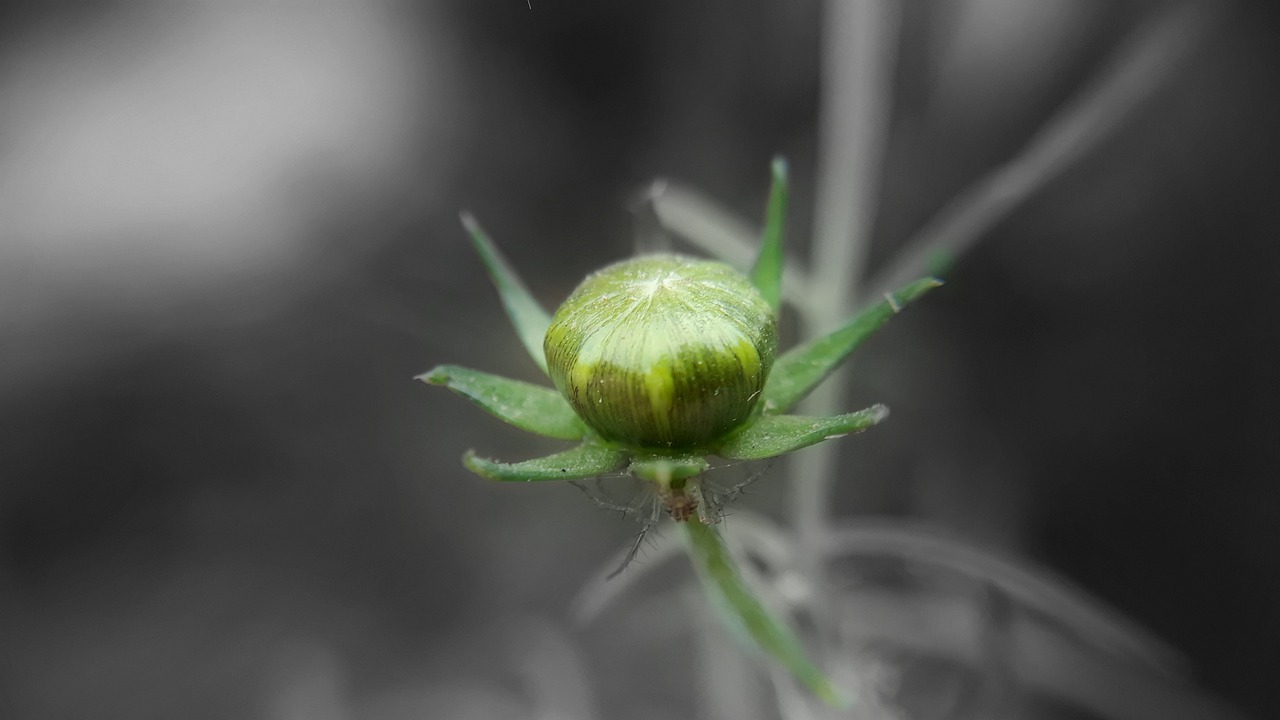 托普軟件最新消息深度解析，公司動(dòng)態(tài)與技術(shù)進(jìn)展一網(wǎng)打盡