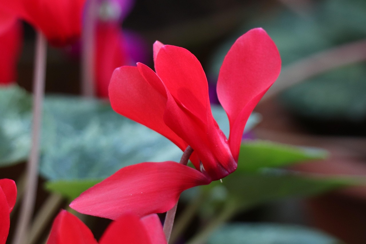 深度解析軍事動(dòng)態(tài)與全球安全局勢，軍情觀察最新一期報(bào)道速遞