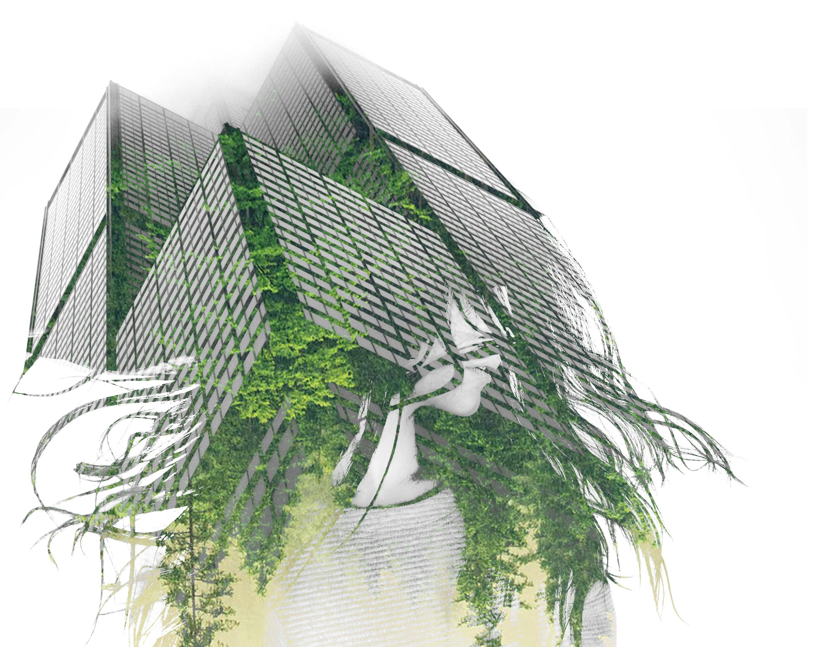 楊冪街拍生活照曝光，時(shí)尚潮流風(fēng)向標(biāo)的新動(dòng)態(tài)