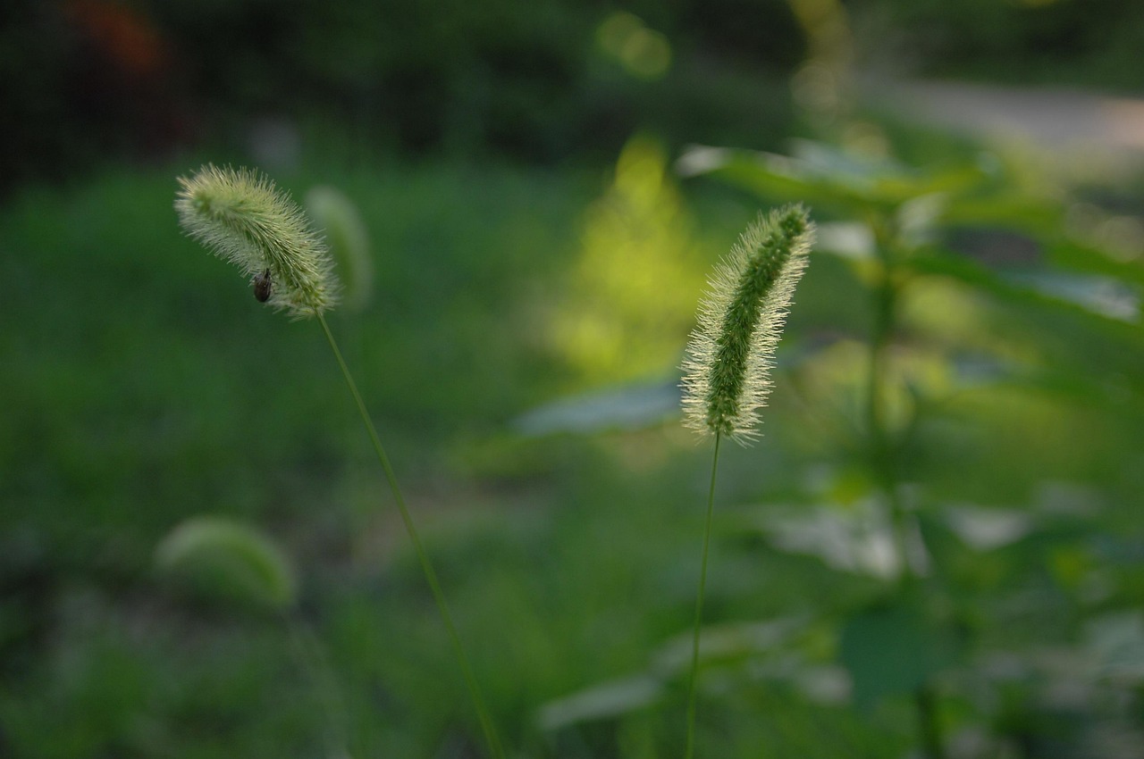 十堰陽光棲谷最新房價動態(tài)分析與趨勢預(yù)測