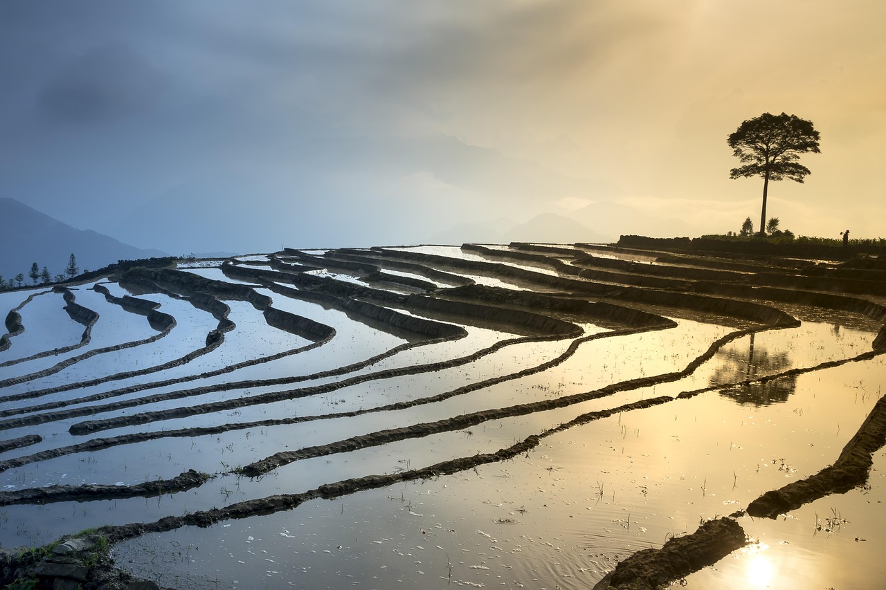 新鄉(xiāng)鳳泉湖最新進(jìn)展揭秘，生態(tài)城市壯麗序幕正式拉開！