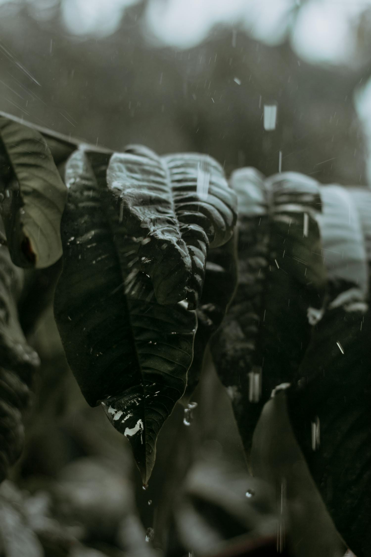 中超遼寧宏運新賽季展望，蓄勢待發(fā)，最新動態(tài)揭秘