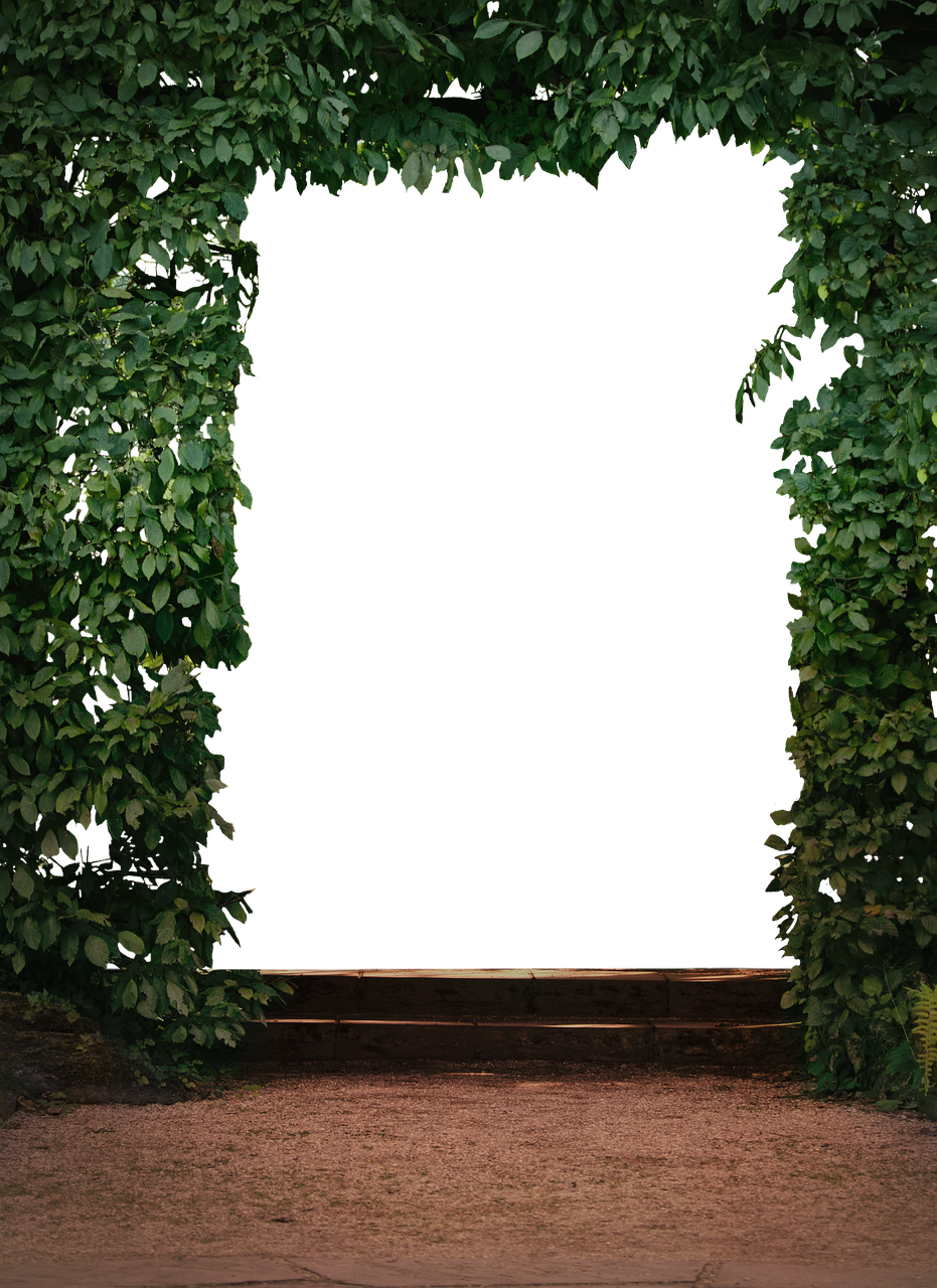 南湖公園二期最新動態(tài)，綠色明珠的未來展望