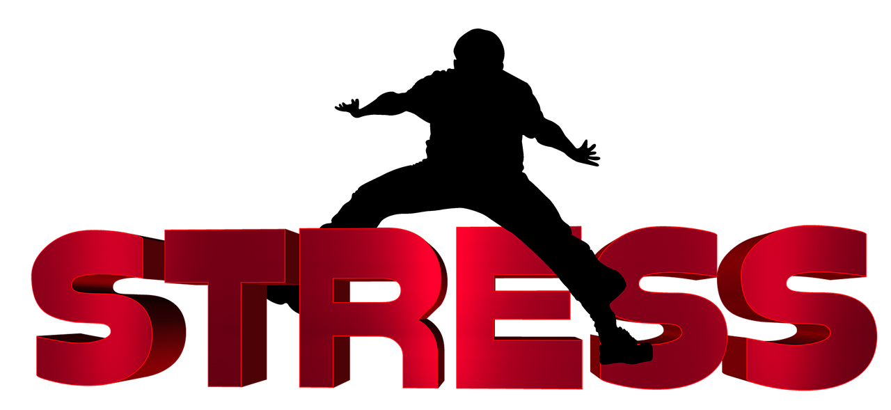 齊河二手車最新信息概覽，最新動態(tài)一網(wǎng)打盡