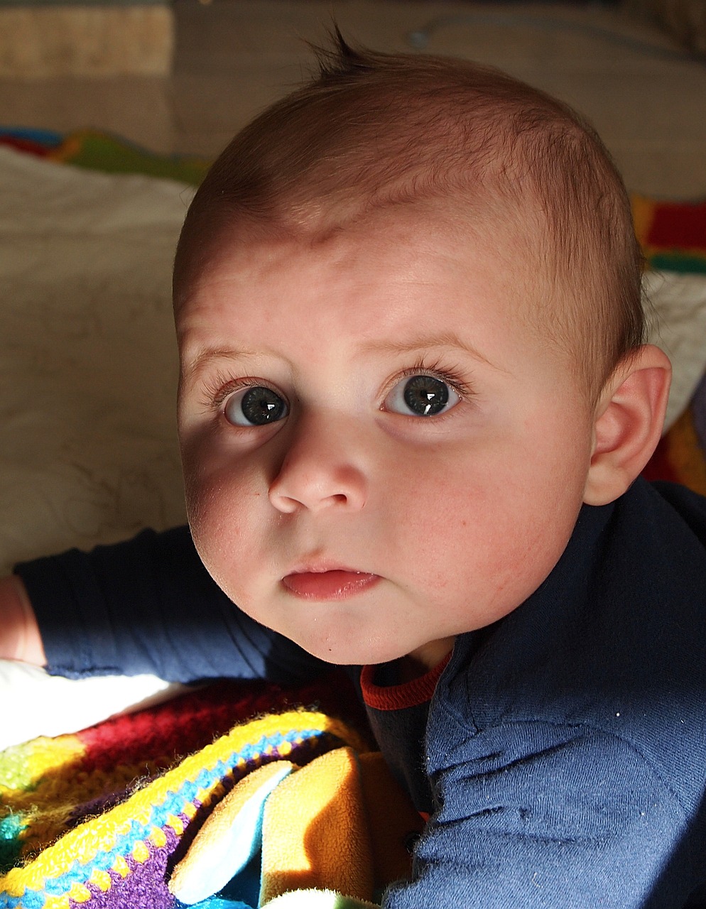 吳立勝與秦飛最新消息綜述，揭秘二人的最新動(dòng)態(tài)