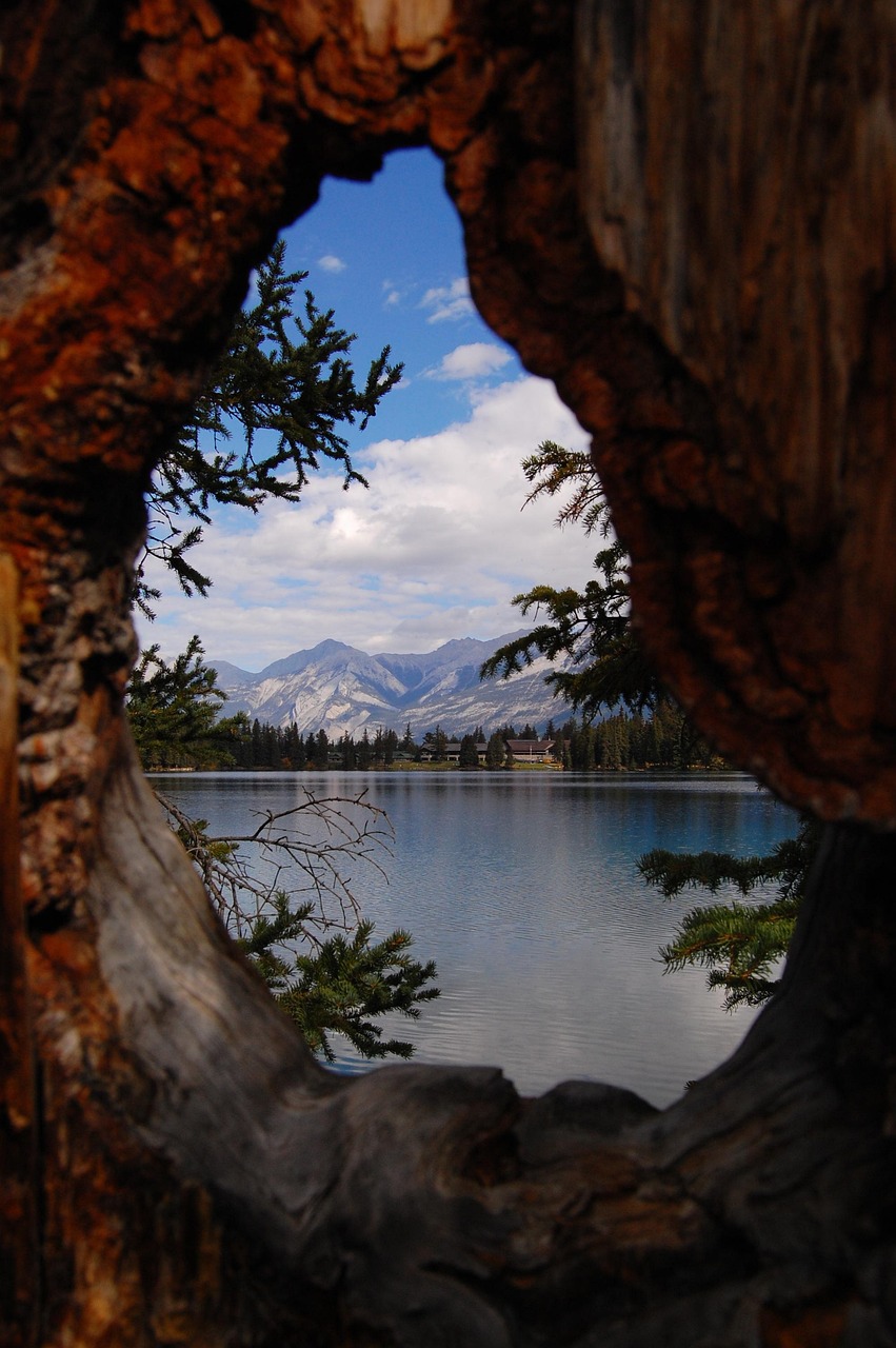 馬蓉最新動(dòng)態(tài)與反思，風(fēng)波中心的最新消息聚焦點(diǎn)