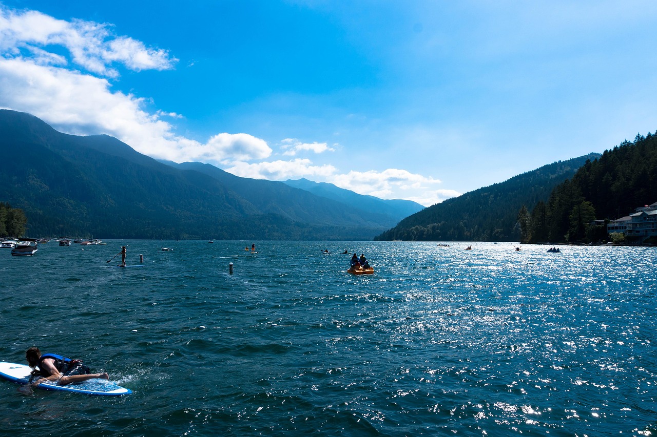 廣東省李峰最新消息概覽，最新動(dòng)態(tài)與進(jìn)展。