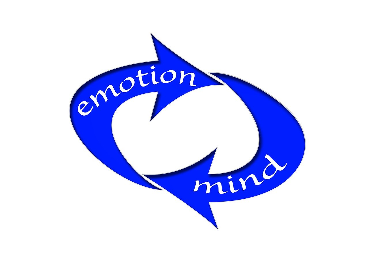 諾德股份借殼新動態(tài)，企業(yè)轉型與資本市場融合迎新機遇