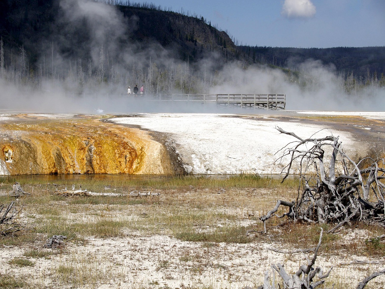 宏澤中央公園最新動(dòng)態(tài)速遞，最新消息一覽