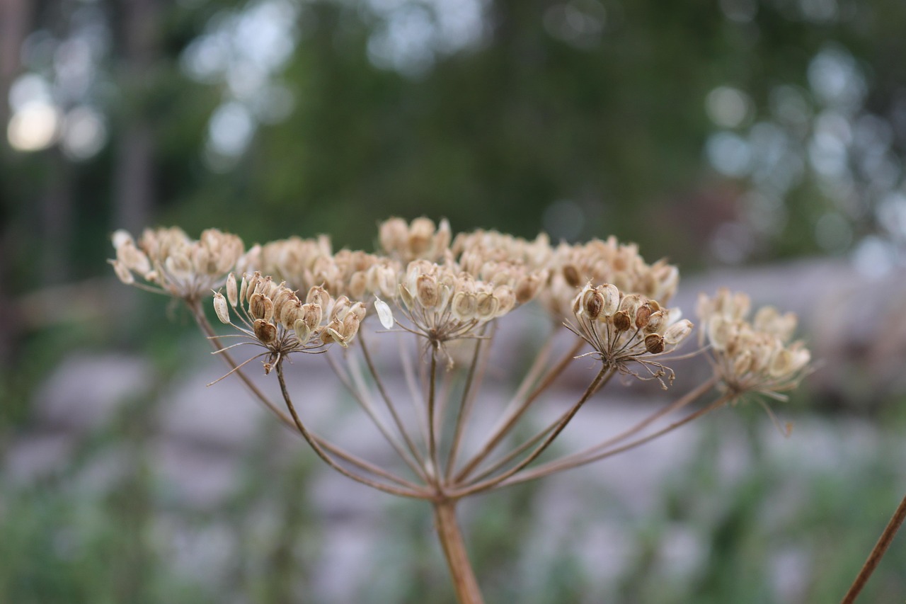 中源協(xié)和停牌最新消息全面解析與動態(tài)關(guān)注
