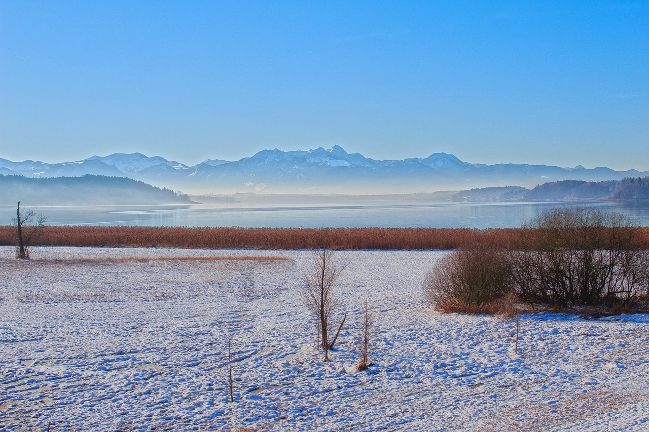 揭秘，關(guān)于1977年1分硬幣的最新消息與動態(tài)分析