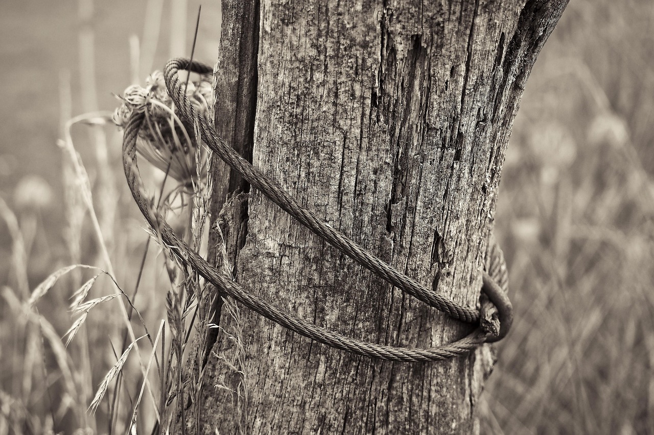 祁陽(yáng)撤縣劃市最新動(dòng)態(tài)，轉(zhuǎn)型發(fā)展開(kāi)啟嶄新篇章