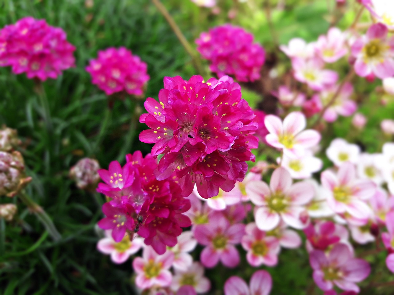 BX7寶沃6六座車(chē)型的創(chuàng)新發(fā)展及最新動(dòng)態(tài)