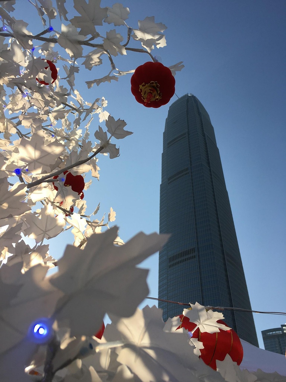 漫漫長(zhǎng)夜新版本砍樹探索，全新體驗(yàn)之旅