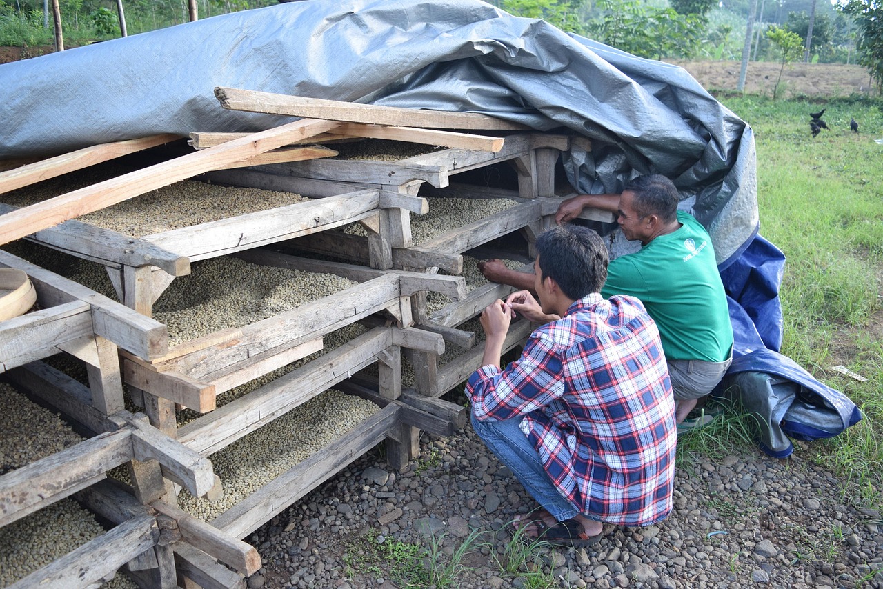 定州鑫源一品最新動態(tài)全面解析