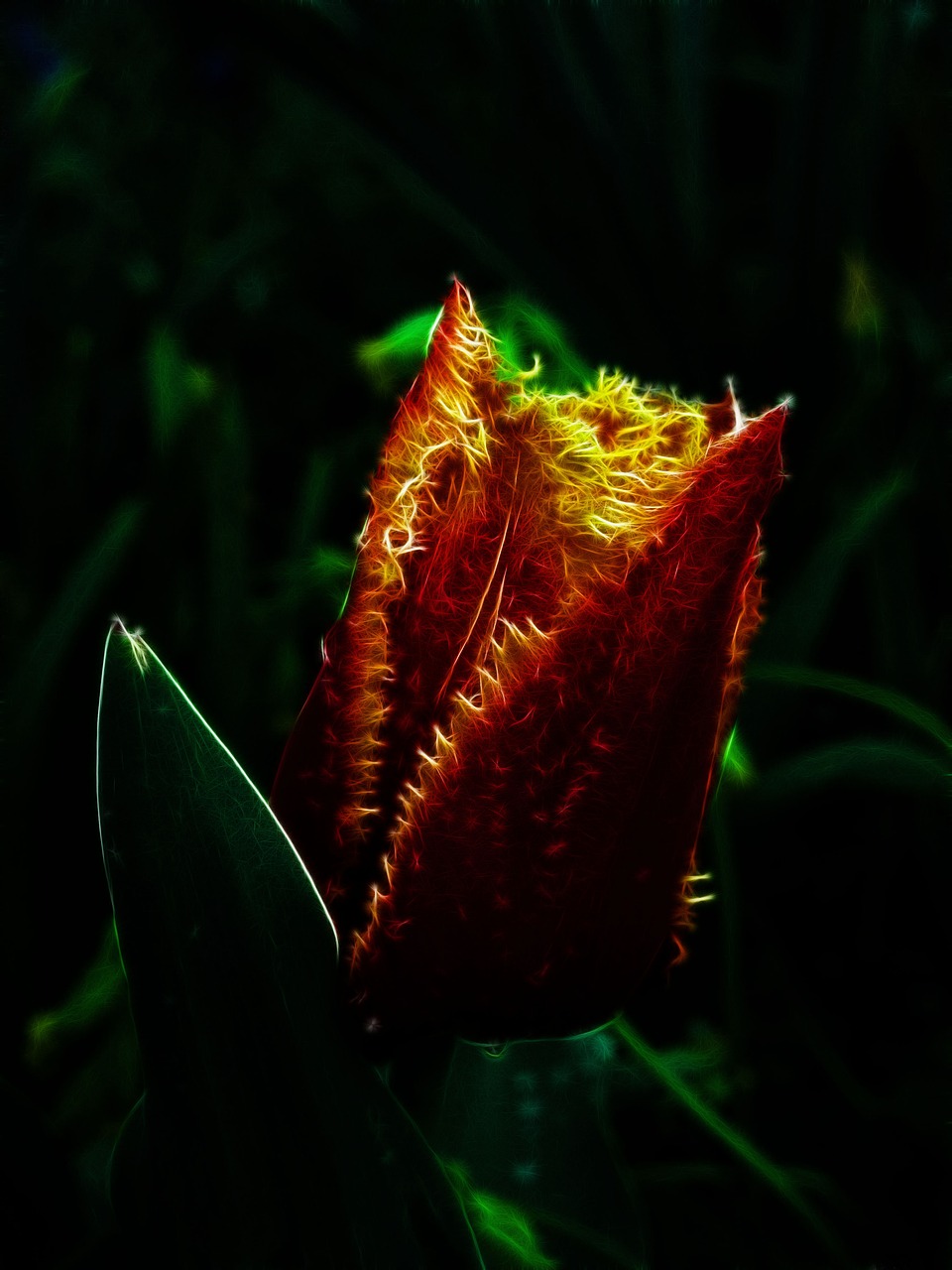 最新朵色產(chǎn)品進(jìn)貨價(jià)格表圖詳解，全面了解朵色進(jìn)貨價(jià)格動(dòng)態(tài)