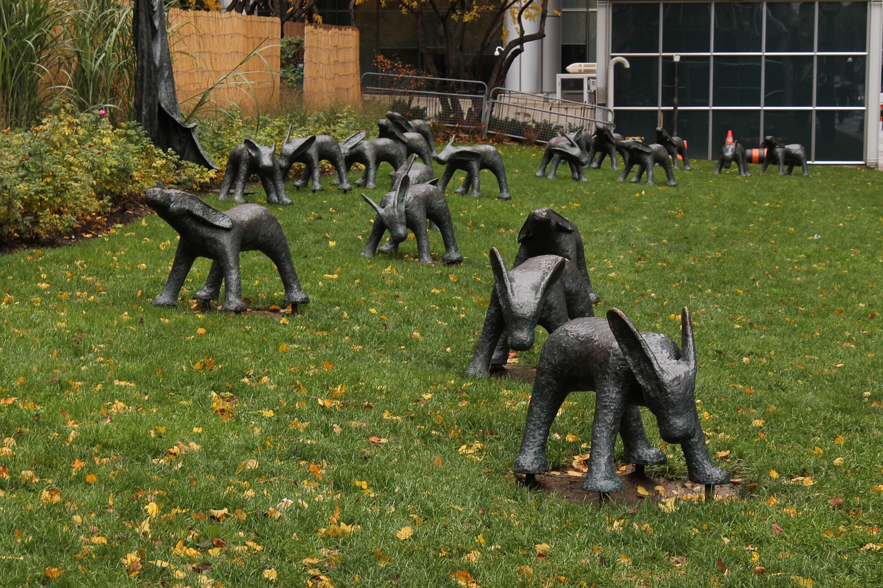 安湯一體化最新動(dòng)態(tài)，引領(lǐng)城市發(fā)展的新浪潮