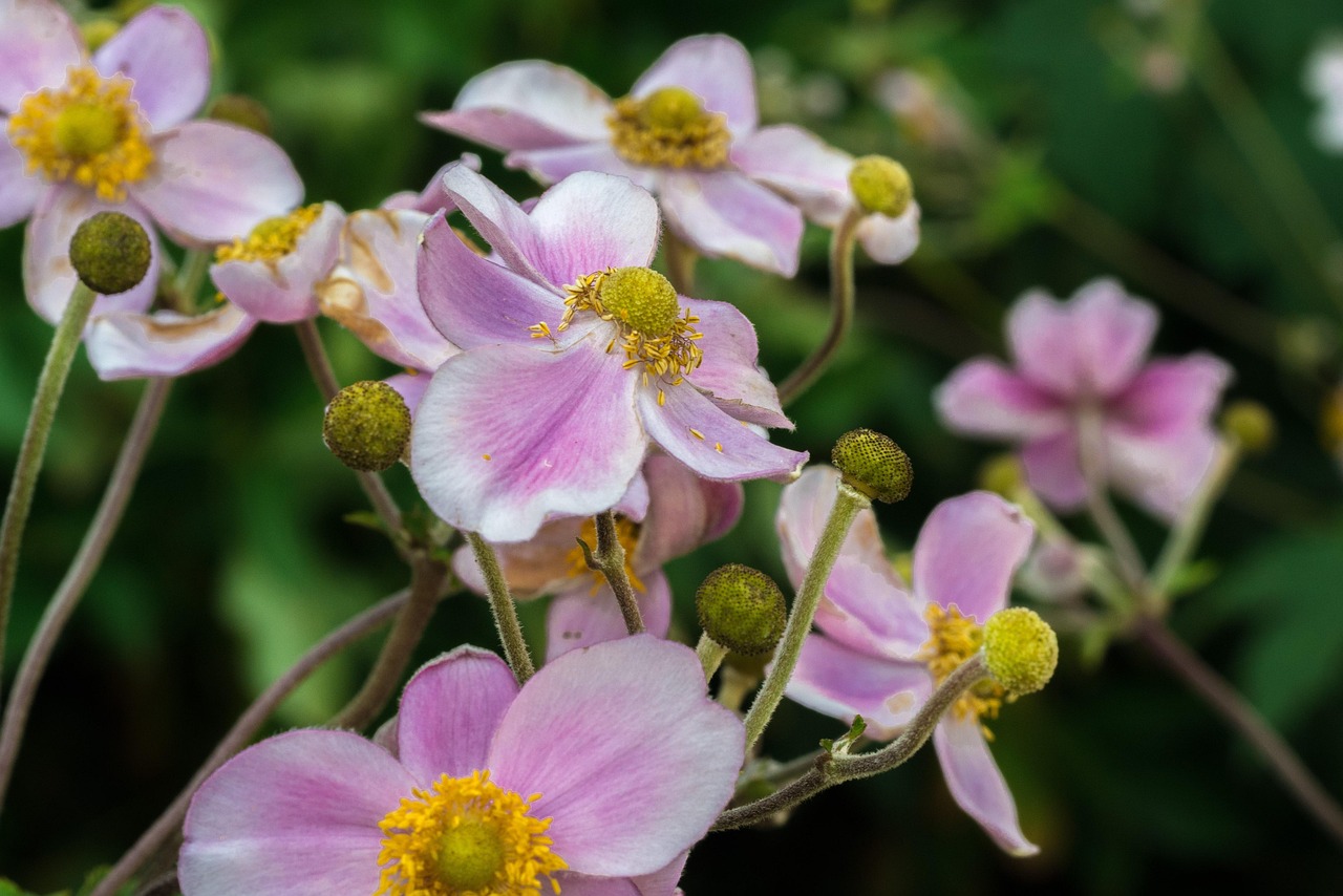 馬刺最新動(dòng)態(tài)，持續(xù)進(jìn)化，蓄勢(shì)待發(fā)啟航新征程