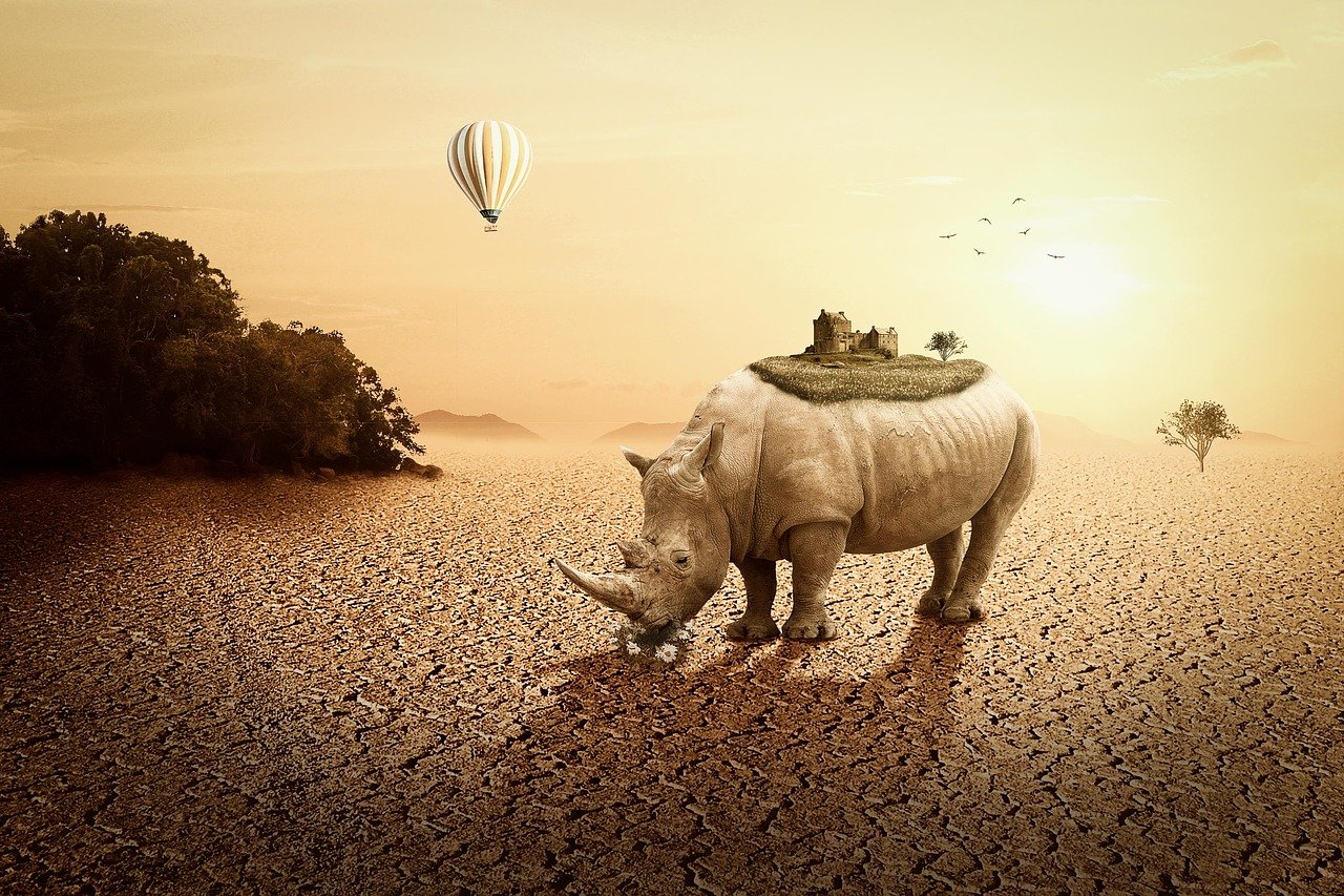 高陽最新樓盤信息全面解析，最新房源、動態(tài)及優(yōu)惠一網(wǎng)打盡！