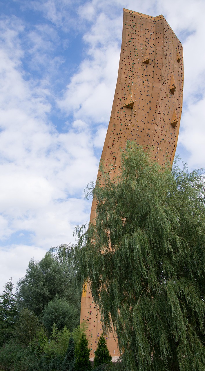 Anjelica的最新動態(tài)與成就概覽