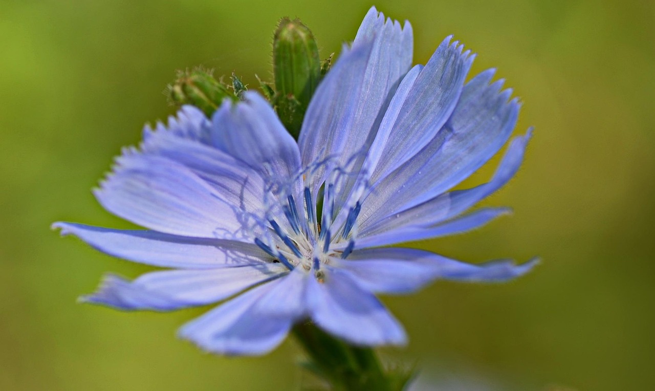 窗外的海風(fēng)吹過(guò) 第2頁(yè)